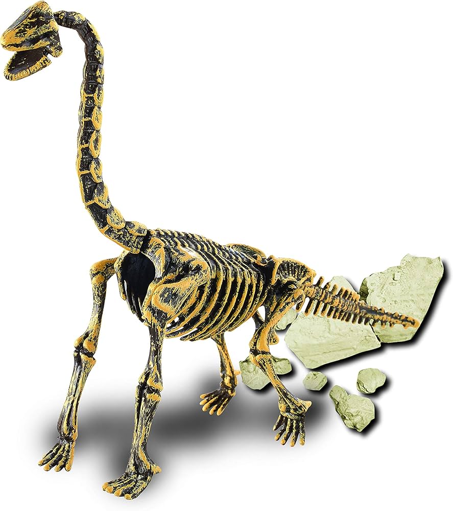 Amazon.com: CLUB GENIUS FF253 4 Pack Dinosaurs Skeleton Excavation